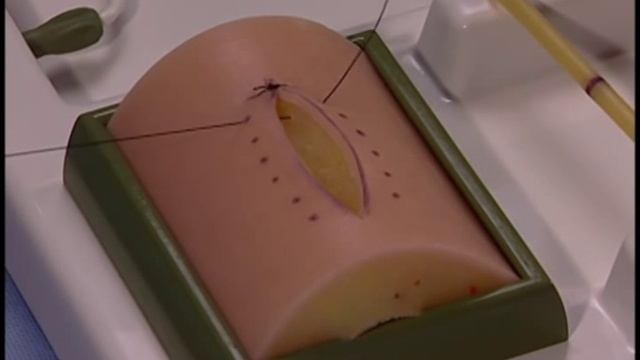 Simple Interrupted wound closure смотреть онлайн