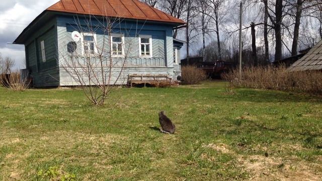 Художественный свист Угадай мелодию смотреть онлайн