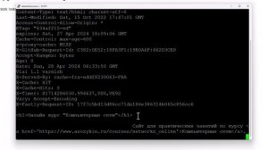11. HTTP в текстовом режиме