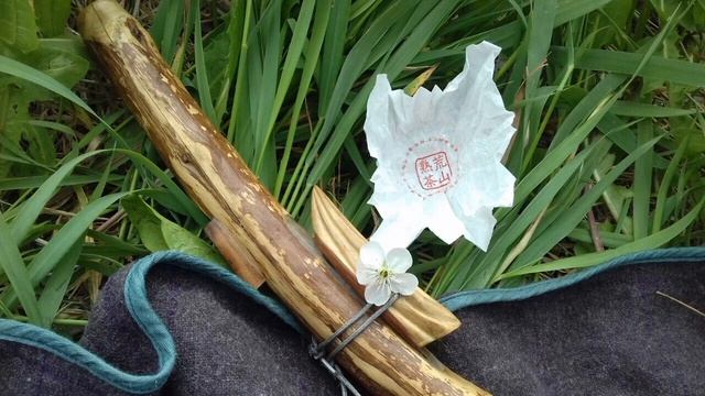 Чай с Ветром. Шу-пуэр в Шарике смотреть онлайн