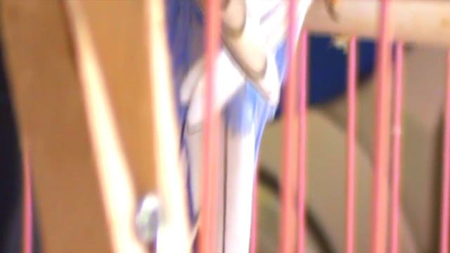 Июньские малыши волнистых попугаев смотреть онлайн