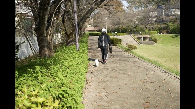 Tamron 17-50mm F4 Di III VXD A068S Review その２ お散歩で使用してみた