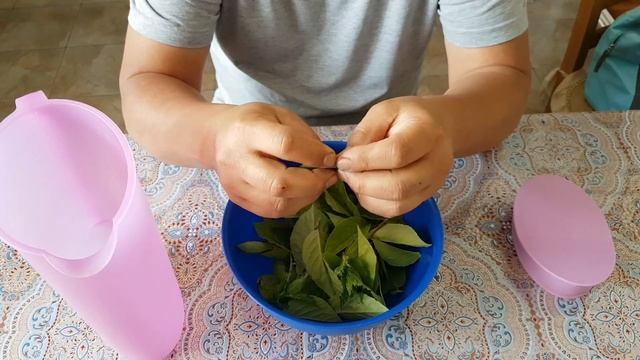 лимонник китайский смотреть онлайн