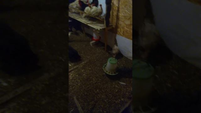 Оригами творческий холл