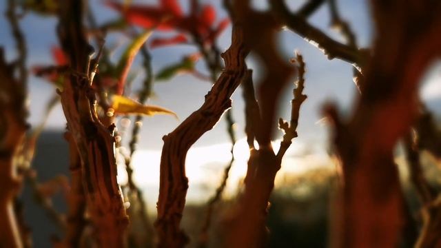 Рассвет в окне смотреть онлайн