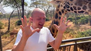 Giraffe Manor усадьба жирафов Кения / Самый известный отель и завтрак с жирафами в Кении Жираф Мано