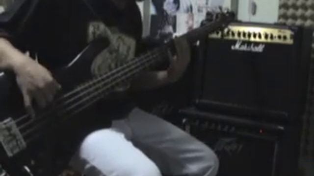 Guns N' Roses - Don't Cry (Bass Cover) смотреть онлайн