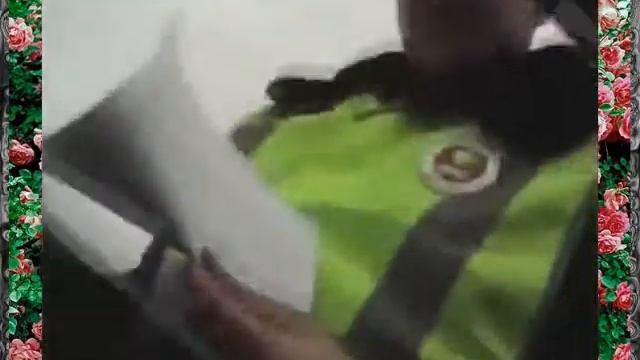 Мужик разводит гаишника смотреть онлайн