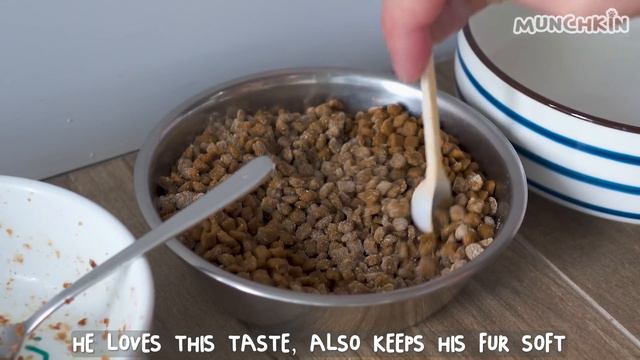 24 hours with a crazy energetic kitten смотреть онлайн