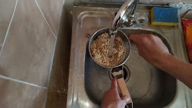 Как прорастить зеленую гречку | Как правильно проращивать