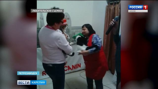 Кошки нарядились в народные костюмы смотреть онлайн