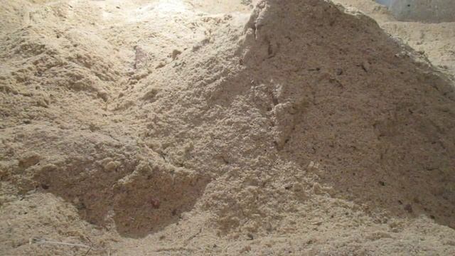 ЗАПУСТИЛ БАКТЕРИИ В СВИНАРНИКЕ ДЛЯ ГЛУБОКОЙ ПОДСТИЛКИ.ИНСТРУКЦИЯ.БАКТЕРИИ ДЛЯ ПОДСТИЛКИ.НЕТТО ПЛАСТ смотреть онлайн