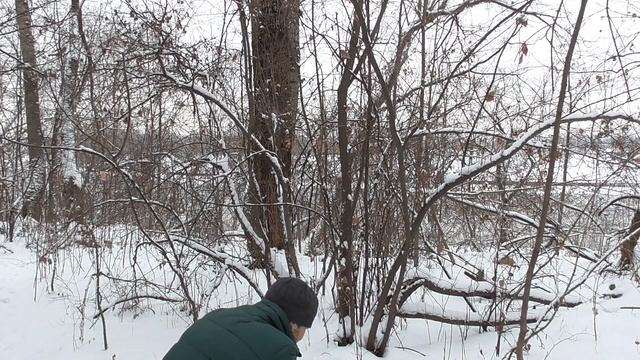 ЛЕСНОЙ ОБЖОР: ГОРЯЧИЙ ЧАЙ НУРИ ЭРЛ ГРЕЙ, НОВИНКА КРЕКЕР TUC СПЕЛЫЙ ТОМАТ И АРОМАТНЫЕ ТРАВЫ. смотреть онлайн