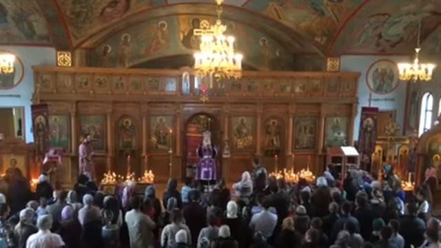 Слово архиепископа Петра в день Торжество Православия смотреть онлайн