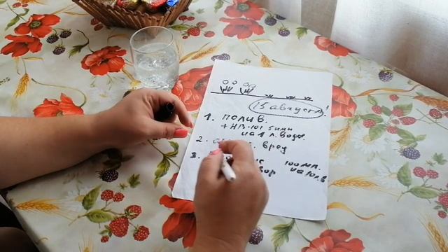СХЕМА ПИТАНИЯ И ПРОФИЛАКТИК ДЛЯ КЛУБНИКИ ПОСЛЕ ОБРЕЗКИ // ЯГОДНЫЙ ОГОРОД ЛИПАТОВОЙ АНАСТАСИИ смотреть онлайн