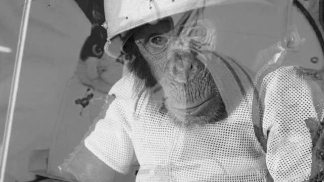 Почему в СССР в космос отправляли собак, а в Америке отправляли обезьян смотреть онлайн