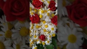 Ромашковая фотозона