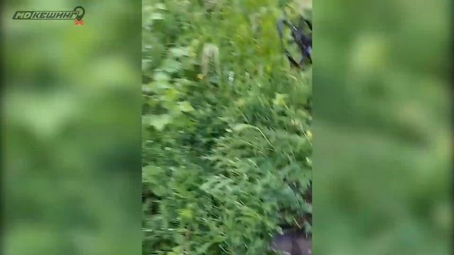 Поиск жетона в Калининграде! / Летний сезон 2017 смотреть онлайн