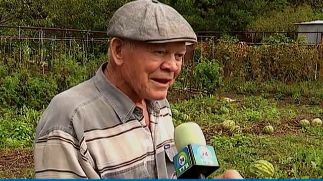 САДОВОД-ЛЮБИТЕЛЬ ИЗ ФОКИНО ВЫРАСТИЛ ЧУДО-ЯГОДЫ смотреть онлайн