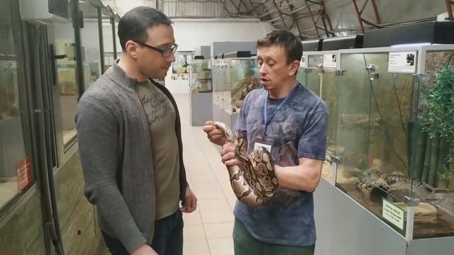 Пока все дома...Мы продолжаем знакомить вас с питомцами Самарского зоопарка. смотреть онлайн