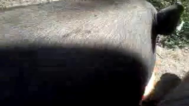 Арбузик кушает арбузик смотреть онлайн