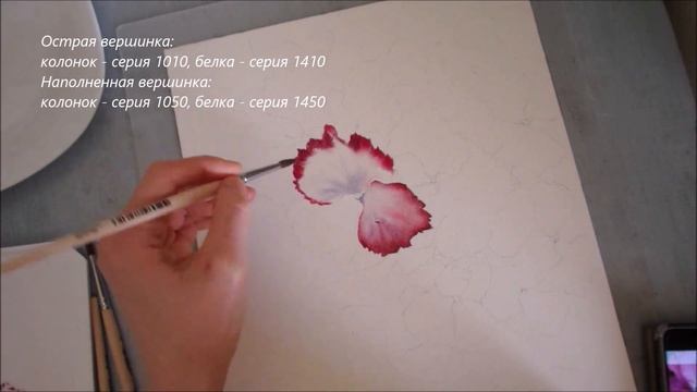 Кисти Roubloff с острой вершинкой и с наполненной вершинкой смотреть онлайн