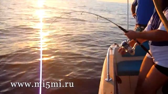 Морская рыбалка в Алании, Анталии. Турция смотреть онлайн