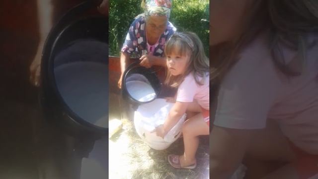 Стоило дойка коровы смотреть онлайн