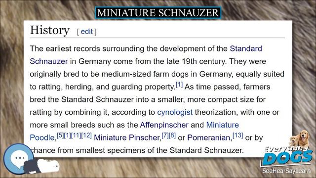 Miniature Schnauzer 🐶🐾 Everything Dog Breeds 🐾🐶 смотреть онлайн