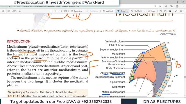 Chp17 | Mediastinum | Thoracic Cavity | Thorax | Thoracic Cage | Thoracic Wall | Dr Asif Lectures смотреть онлайн