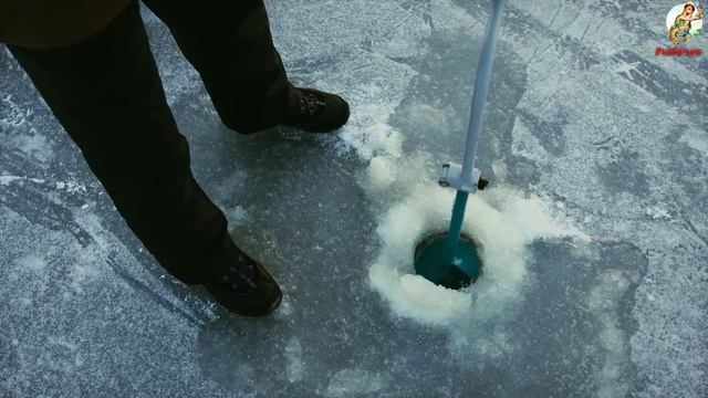 Как наловить много карася в январе?Где искать Карася в январе? На что ловить карася в январе? смотреть онлайн