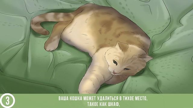 КАК ОПРЕДЕЛИТЬ БЕРЕМЕННОСТЬ КОШКИ? смотреть онлайн