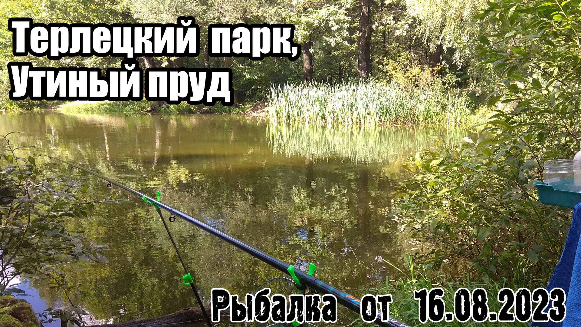 Рыбалка (16.08.2023) Терлецкий парк, утиный пруд.