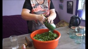 Заготовка щавеля на зиму