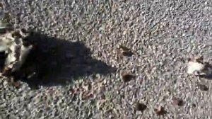 Как быстро Настроить спутниковую антенну часть 1