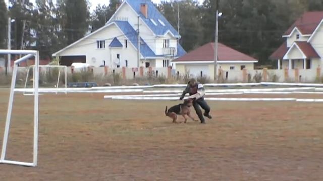 Проверка поведения Иркутск 14.09.13. смотреть онлайн