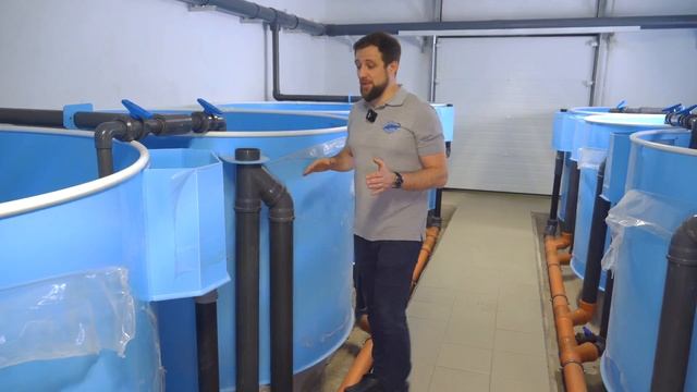 Как ПРИБЫЛЬНО выращивать МАЛЬКА ФОРЕЛИ в старом КОРОВНИКЕ? | Обзор мальковой УЗВ в г.Приозерск смотреть онлайн