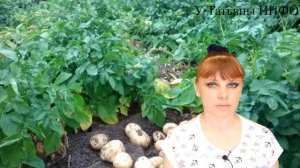 Секрет мега-урожая ЛУКА и МОРКОВИ - что НУЖНО СДЕЛАТЬ?