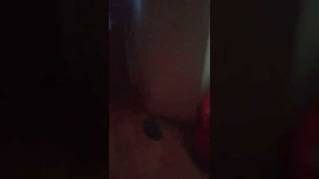 это мой квартира в Советске ?читер смотреть онлайн