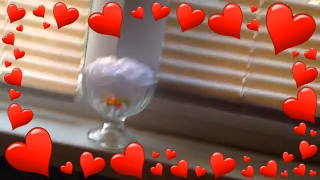 DIY декор комнаты( вазы..)????