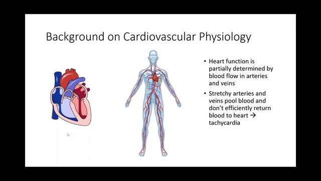 Dysautonomia & EDS Research Update смотреть онлайн