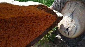 Скульптура в саду декор - дача своими руками