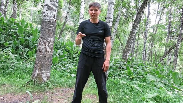 Центральная практика Цигун. Позиция дерево (столб) практический урок. смотреть онлайн