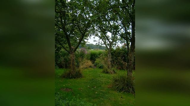 Солитёрная посадка смотреть онлайн