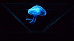 3D Голограмма для дома