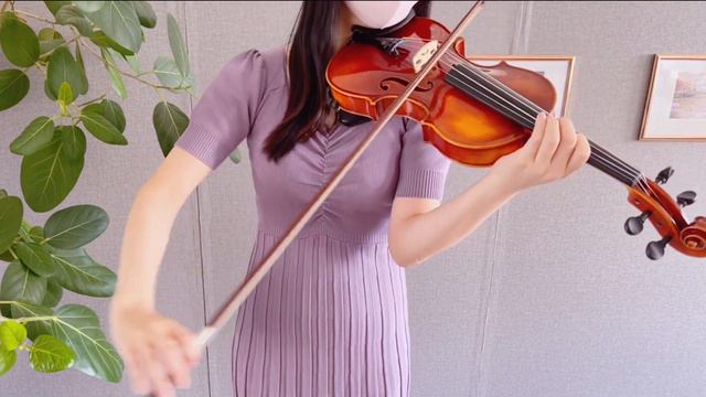 ドラクエ5 / 街角のメロディ【バイオリン歴3年2ヶ月】 смотреть онлайн