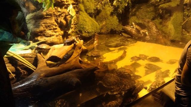 Фото Стамбул смотреть онлайн