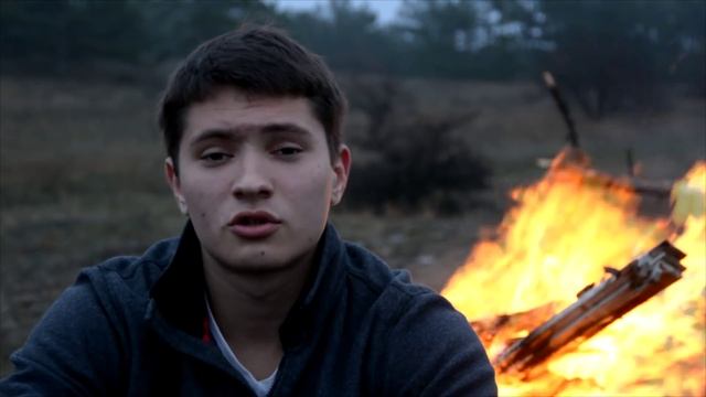 Павел Север - Стая птиц, как прежде, улетает на север... смотреть онлайн