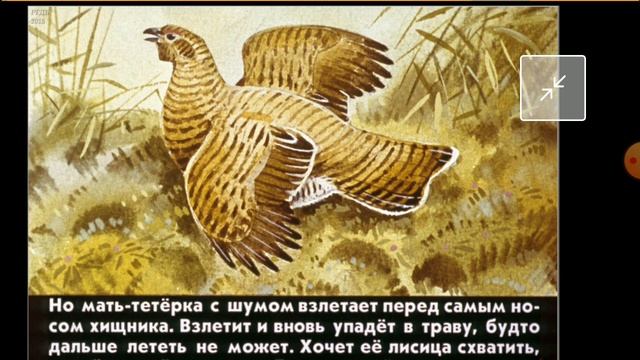 Диафильм (звуковой) 