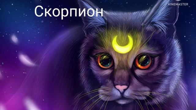 Знаки Зодиака.mp4 смотреть онлайн